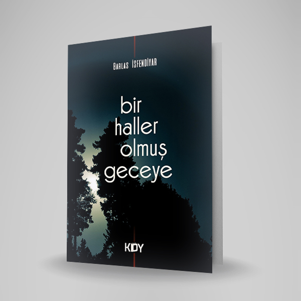 BİR HALLER OLMUŞ GECEYE