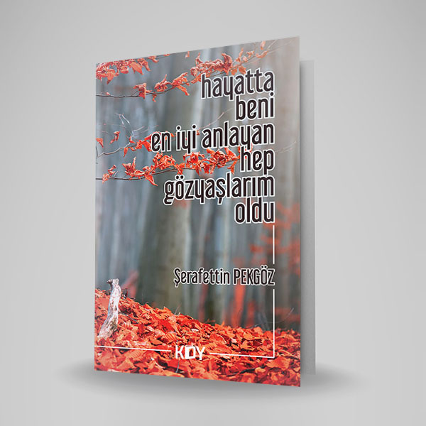 HAYATTA BENİ EN İYİ ANLAYAN HEP GÖZYAŞLARIM OLDU